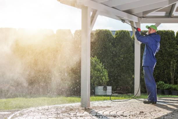 Best Spring Cleaning  in Crystal City, TX